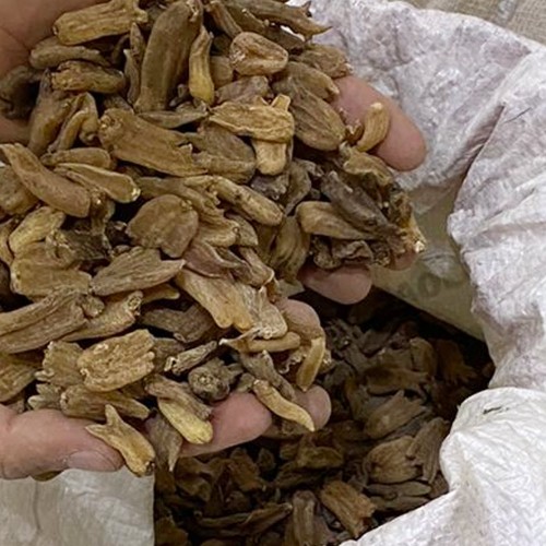 Çift Çatal Salep 1 Kg